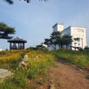 환상의바다리조트C동 | [보령,대천항] 환상의 바다 리조트 C동 25평형