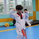한국체대 가온 태권도장 이미지