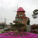 대도 Daum카페