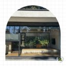 6432 | [제주] 무라소원 | 정원과 자쿠지가 있는 제주 서귀포 독채 숙소 추천(소원방 후기)