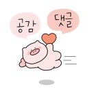 대양상회 이미지