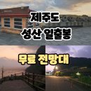 성산농장 | 제주도 성산일출봉 (왼쪽 무료 전망대/해돋이 일출 후기)