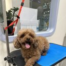 Mong's(몽'스) 이미지