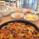 오적회관발 | 춘천 오징어볶음맛집 '오적회관'