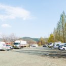응천 | 230407 충북 음성, 응천십리벚꽃길 후기