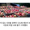 천억로또 이미지