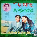 노송자
