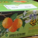 비타민과일촌