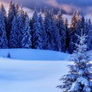 민현준내과의원 이미지