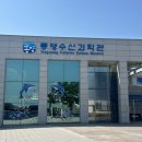 통영 여행 가서 아이랑 다녀온 [통영수산과학관]솔직 후기