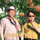 어테디카페 | 4월 | 함께 있어 좋은 어느날들(2)