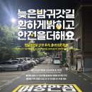 수진 태양광 이미지