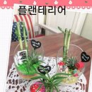 한빛공원(3) 이미지