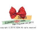 로사나부띠끄 관광호텔 이미지