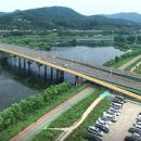 금호강하중도 이미지