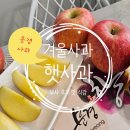 부사 겨울과일 햇사과 문경사과 맛 당도 식감 가격