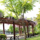 덕유산(상)휴게소 이미지