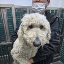 신매강변길 이미지