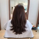 디어유(dearyou)헤어 네이버블로그