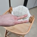 야마토야 뉴마터나 플러스 원목 하이체어 후기 (사촌언니선물플렉스_❤️)