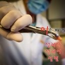 설레이다 네이버블로그