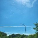 쿵푸팬더 훠궈 이미지