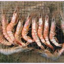 대하카써비스 이미지