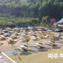 지상길농장 네이버블로그