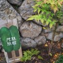 스테이 무림 이미지