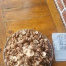 금옥농장 이미지