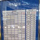 오동도유람선 이미지