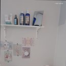 스테이파르크