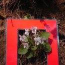 안산반월지역아동센터 이미지