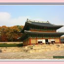 문화유산 창덕궁 둘러보기
