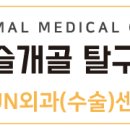 유앤동물의료센터 네이버블로그