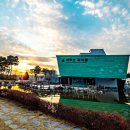 영천곤충