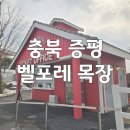 [국내/충청북도/증평] 블랙스톤 벨포레리조트 목장 솔직 후기