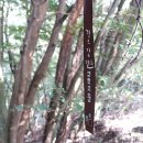 제주불교성지 순례길 절로가는길 - 선정의 길 이미지