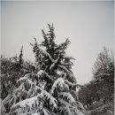 희망대공원 이미지