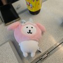 송가네뒷고기삼겹살 | [블챌] 2주차 - 대전여행 1박 2일동안 대전에서 먹고 또 먹기