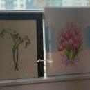(주)자연에너지 비봉주유소 | [쉘니스 8월 리프레쉬 리추얼 1주 차 후기, 소노시즌 파인트리 디퓨저] 숨은 그림처럼 그린을 찾다 보니...