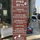 대박화원 | 안산 소금빵 맛집 글루텐 프리 저당 소금빵 ‘몽화원’ 후기