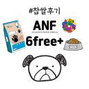 ANF 6fee+ 인도어독 오리고기 &amp; 연어 사료/ 무해키트 공 장난감 만들기