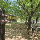 샛터근린공원 이미지