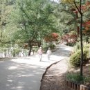 산성안 주차장 이미지