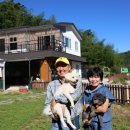 함평농장 이미지