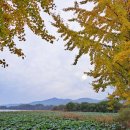 두물머리화장실(나루터) 이미지