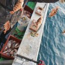 포항시남구장기면양포보건진료소 이미지