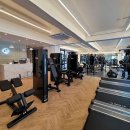 뭉트니스 이미지