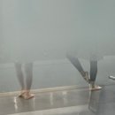 이이엘(EEL) | 성인취미발레 이이엘댄스 '발레스커트 성인 쉬폰치마' 리뷰